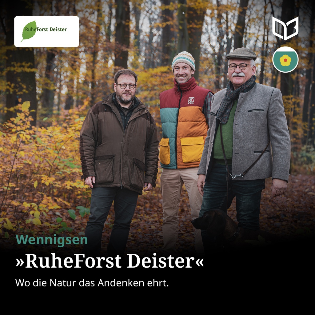 Deisterbuch-RuheForst-Deister-Wennigsen-Social-Media-Beitrag